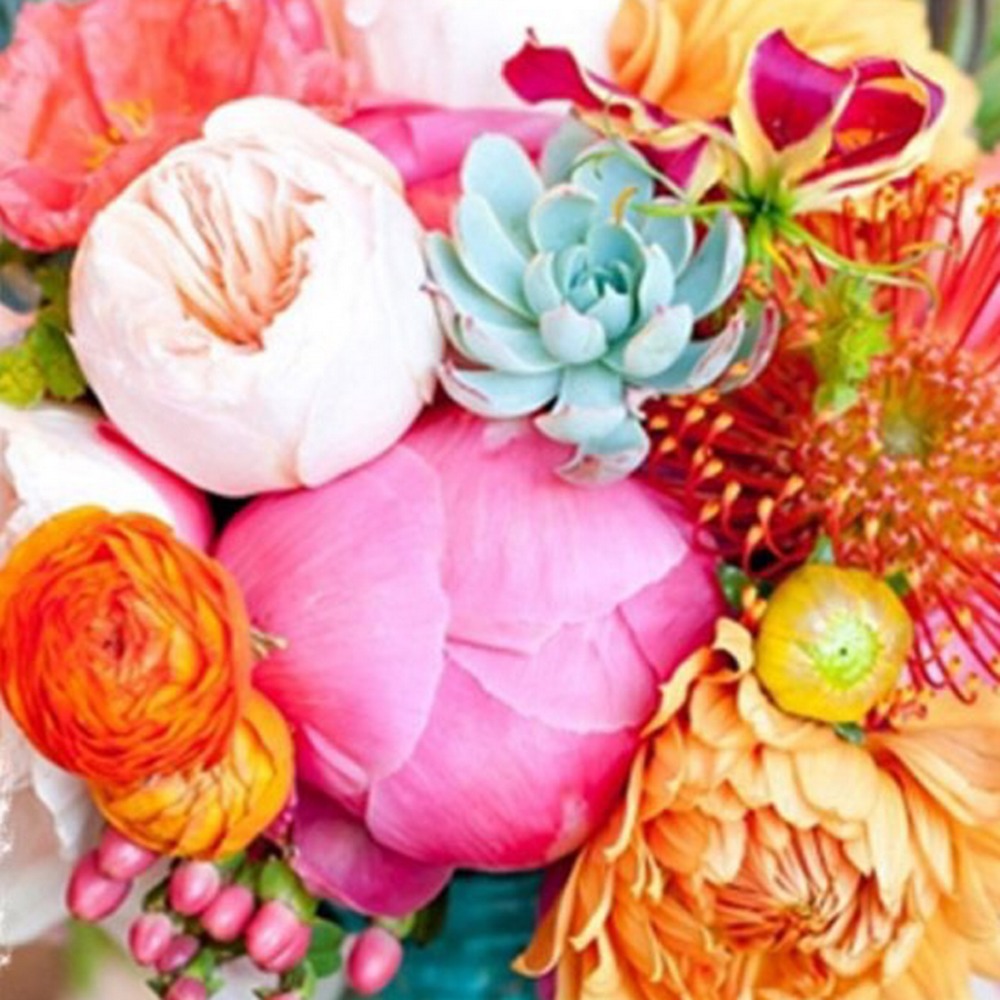 Meet your Posher, Johanna